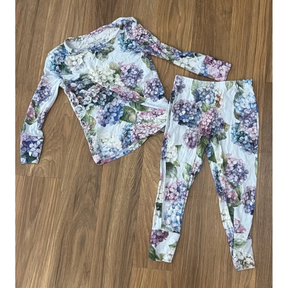 Posh Peanut And Toddler Girls 2T Hydrangea 2pc Pajamas Bamboo PJ EUC